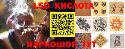 ПСИЛОЦИБИНОВЫЕ ГРИБЫ Баксан