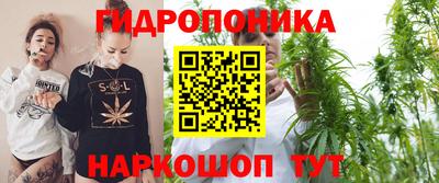 а пвп мука Аша