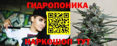 ПСИЛОЦИБИНОВЫЕ ГРИБЫ Баксан