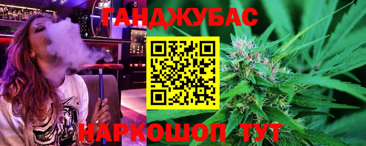 Конопля гибрид Анапа